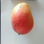 Mango - Fruit Punch (SOLD OUT)